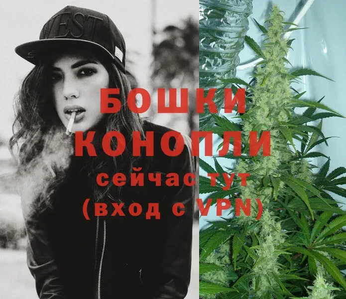 МАРИХУАНА OG Kush  где можно купить   Александров 